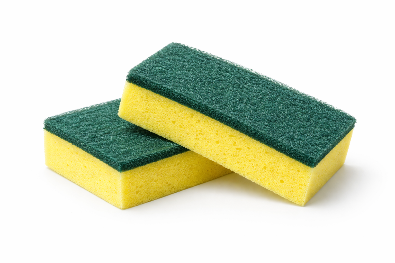 Scourer Sponge — 2 Pack